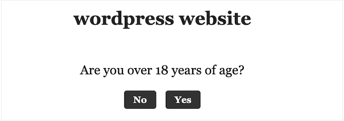 年龄限制 WordPress 博客的示例
