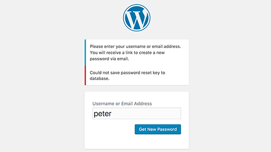 50 Most Common WordPress Errors and How to Fix Them