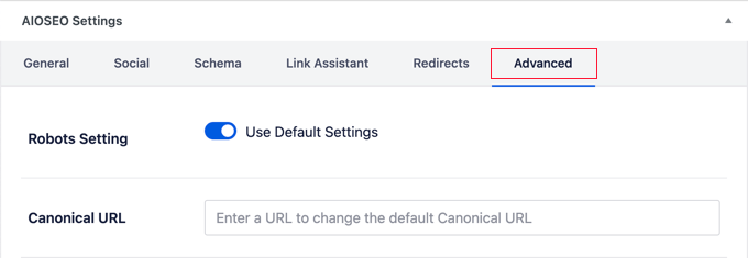 AIOSEO Advanced Settings