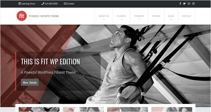 Fit WordPress theme