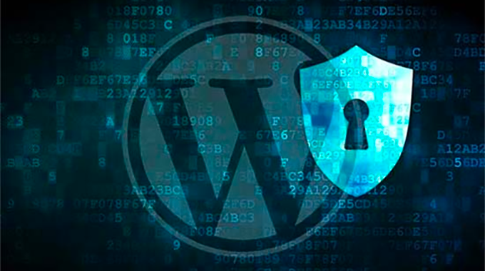 WordPress security