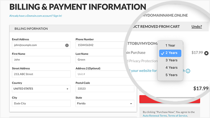 Domain.com purchase plan and payment terms