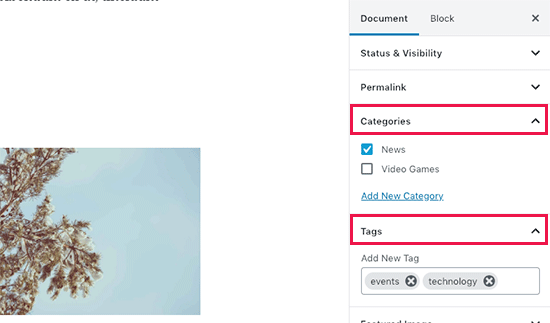 Adding Categories and Tags in WordPress