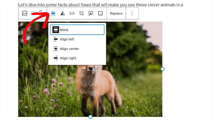 Image alignment buttons in WordPress post editor