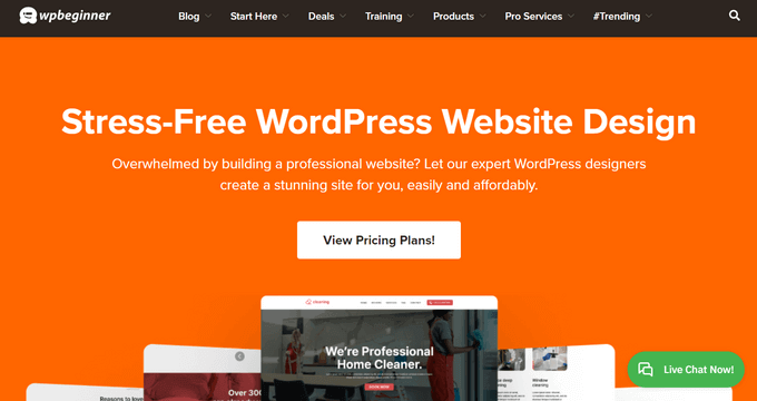 WPBeginner Pro Services Custom Website Design