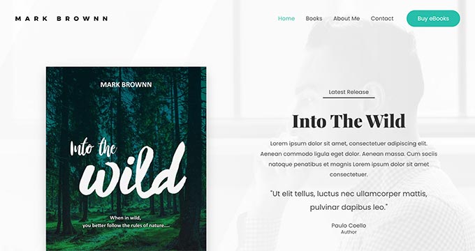 Astra WordPress theme for authors