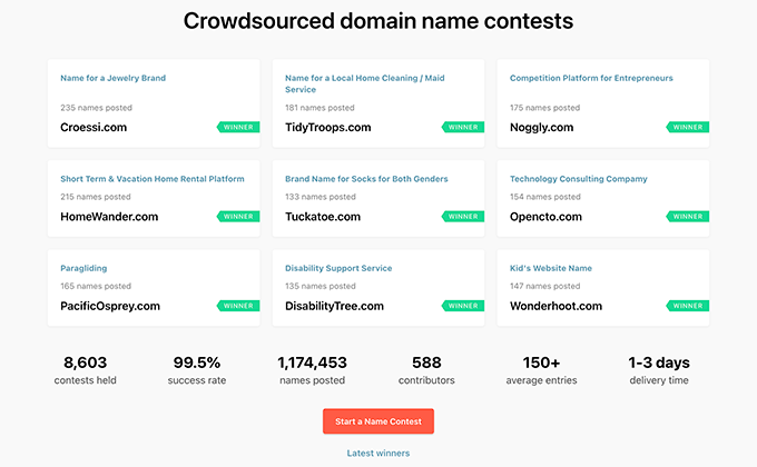 Domain Name Contest by Name Station