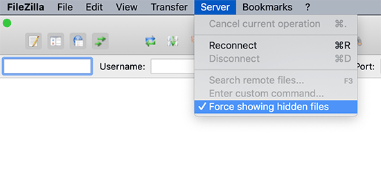 Mostrar archivos ocultos en FileZilla