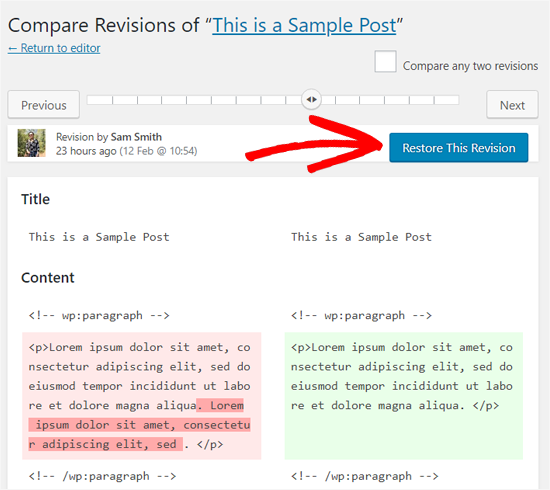 Restore revision point