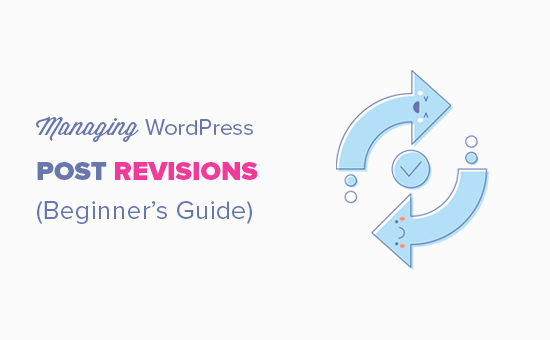 wordpress revisions