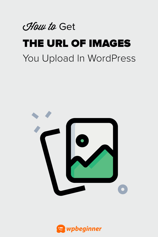 How To Get The URL Of Images You Upload In WordPress