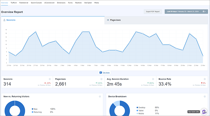 MonsterInsights reporting dashboard