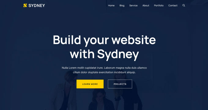 Best WordPress Themes