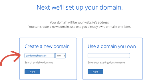 Looking up domain names