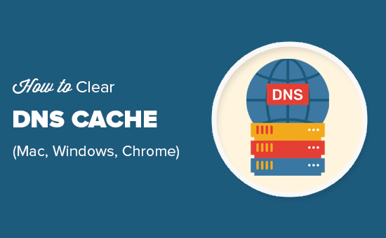 Reset Dns Cache