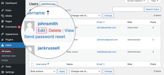 Editing a user details in WordPress