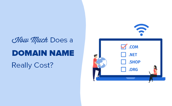 How Much Does A Domain Name Really Cost Expert Answer