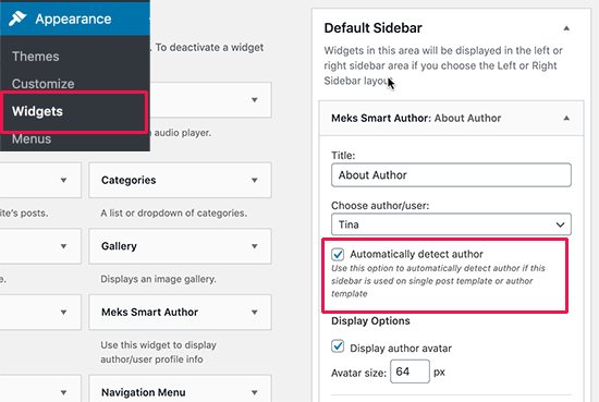 Adding author info widget