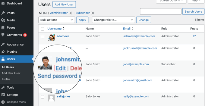 Editing a User Profile in WordPress