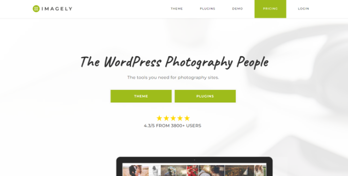 Wordpress deals portfolio plugin