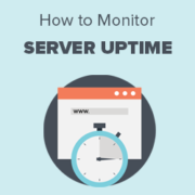 How to Monitor Your WordPress Website Server Uptime (Easy Way)