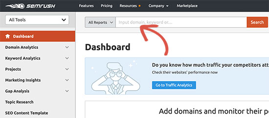 Track a domain name in SEMRush