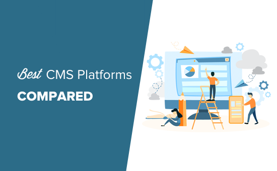 5 Best Social Networking CMS Platforms