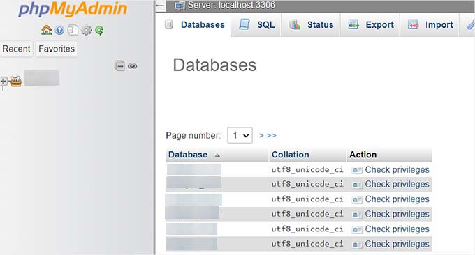 connect-phpmyadmin-with-database-1.jpg