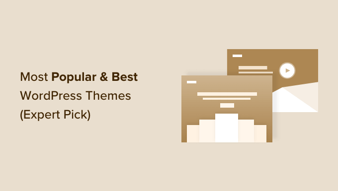 Most Popular and Best WordPress Themes