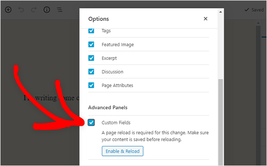 display custom fields