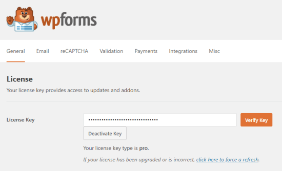 输入 WPForms 的许可证密钥