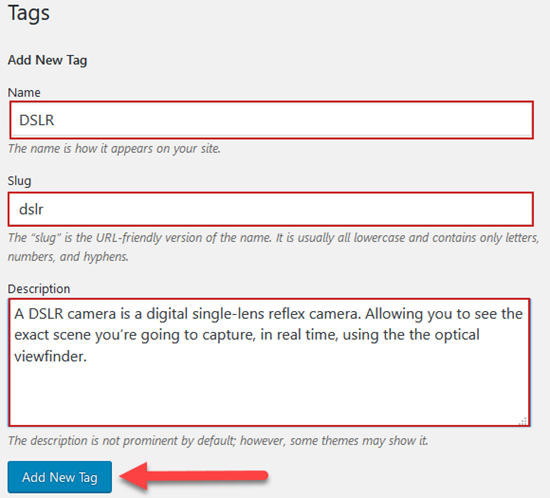 Definition & Meaning of Tag