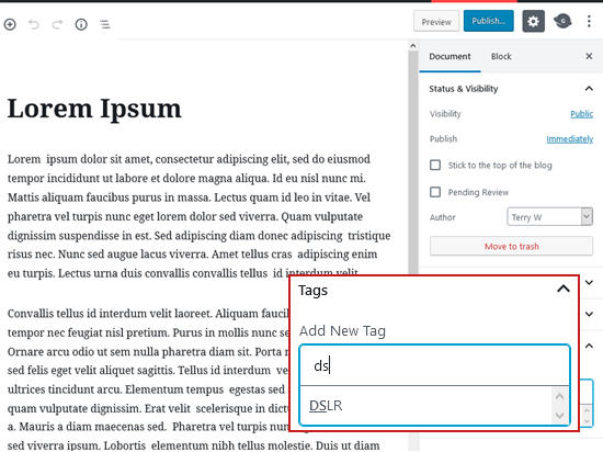 What is Tag in WordPress