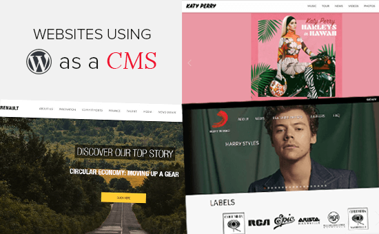 WordPress 作为 CMS：25 个使用 WordPress 作为 CMS 的示例