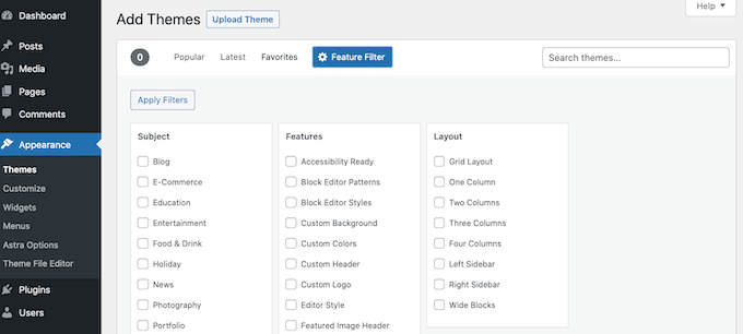 Filter the WordPress theme results by feature
