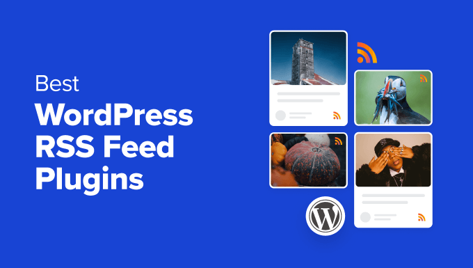 Comparing the best WordPress RSS feed plugins