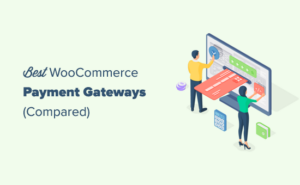 6 Best Woocommerce Payment Gateways For Wordpress (compared)