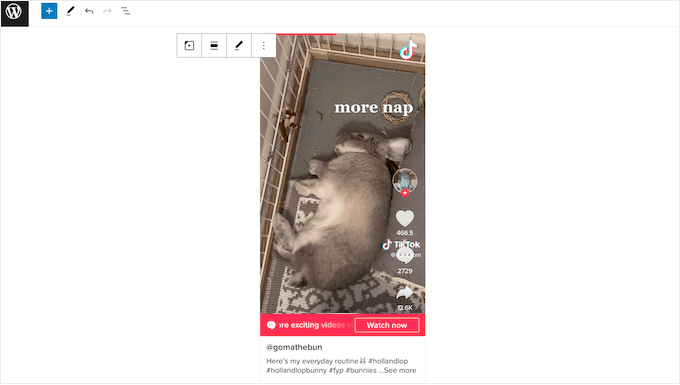 Embedding TikTok videos on a WordPress blog or website