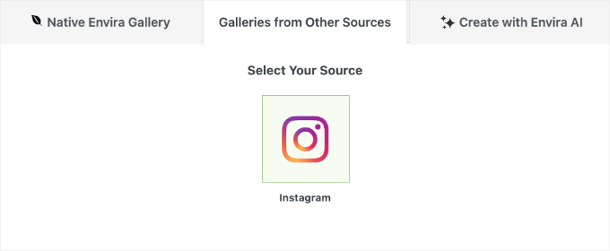 Envira Gallery Instagram add-on installed