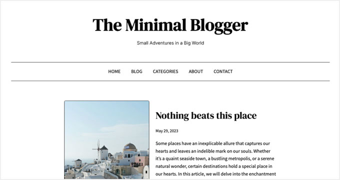 The Minimal Blogger