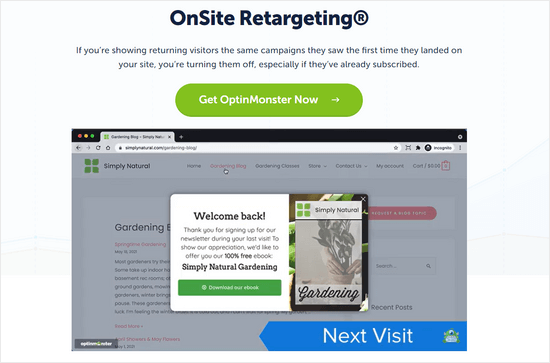 OptinMonster OnSite Retargeting