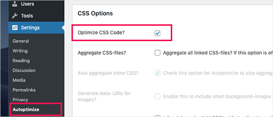 Optimize CSS in Autoptimize