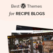 24 Best WordPress Themes for Recipe and Food Blogs (2021)