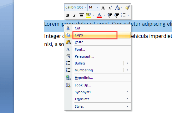 how to copy and paste to word document