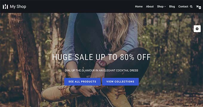 Clothing Store - WordPress theme