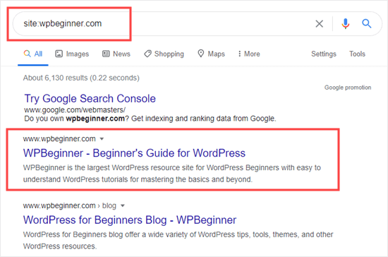 Google results showing the WPBeginner site has been indexed