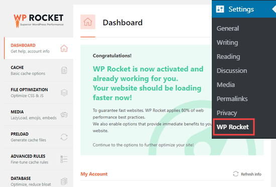 显示 WP Rocket 处于活动状态并正在您的网站上运行的消息