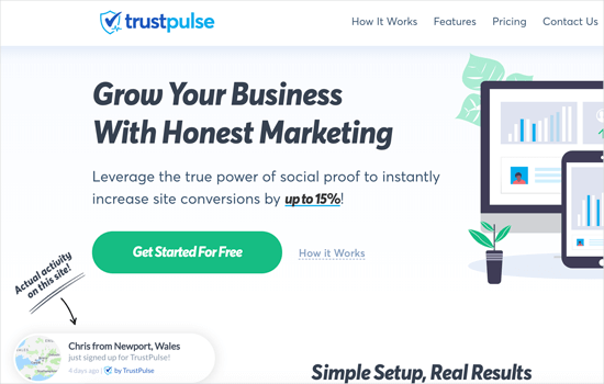 TrustPulse's homepage