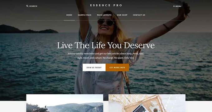 wordpress website template