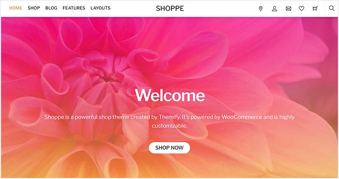 most popular woocommerce themes